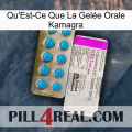 What Is Kamagra Oral Jelly new07